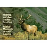 National Audubon Society Pocket Guide - Familiar MaMMals Of North America